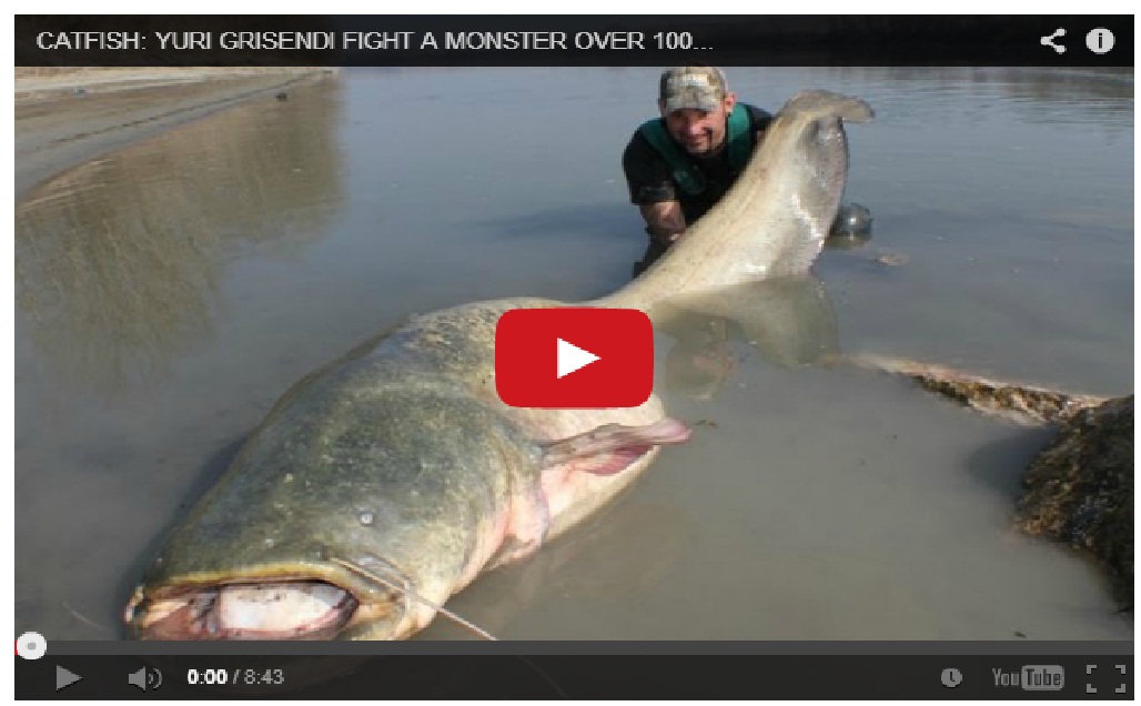 Amazing !! This man literally caught a monster