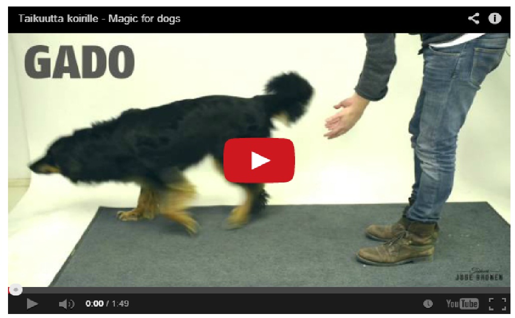 Must Watch !! Dogs get confused by a simple magic trick