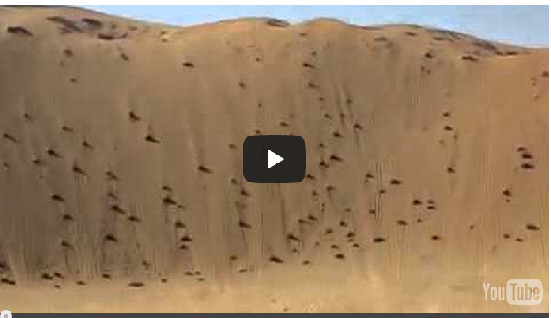 Small Truck Vs Sand – You Would Not Believe This!